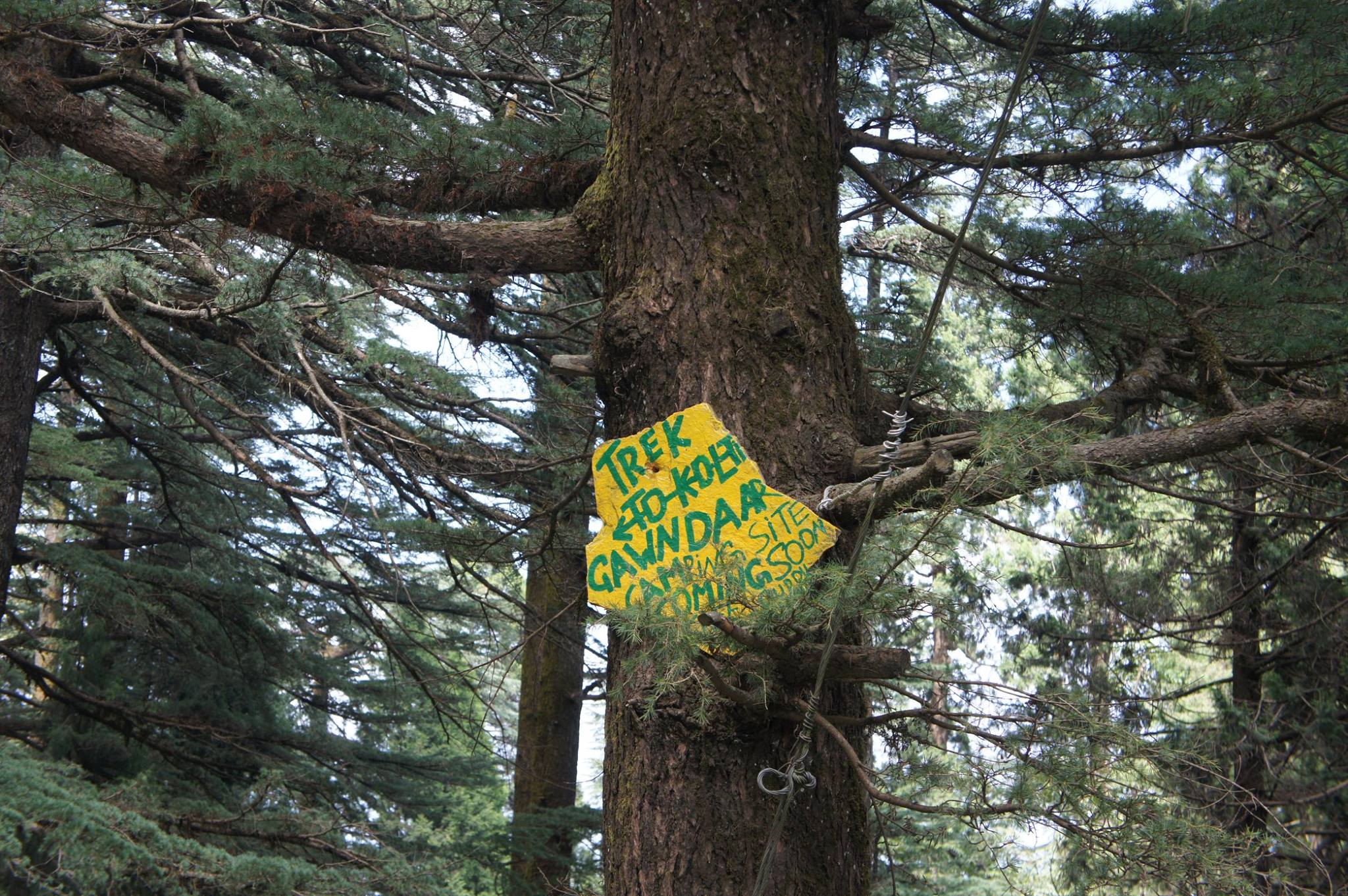 trek landour